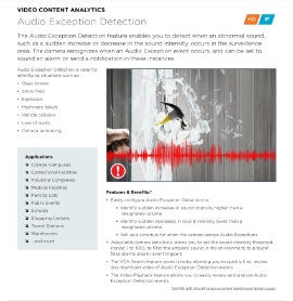 Audio Exception Detection in Buckeye,  AZ